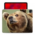 Дизайнерский пластиковый чехол для Ipad Pro 12.9 (2020) Медведи