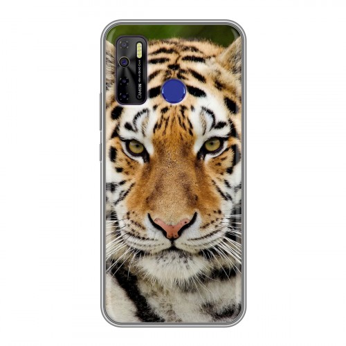 Дизайнерский силиконовый чехол для Tecno Camon 15 Тигры