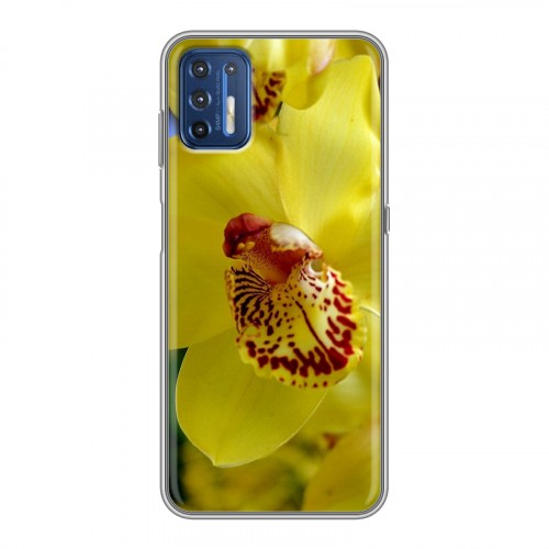 Дизайнерский силиконовый чехол для Motorola Moto G9 Plus Орхидеи