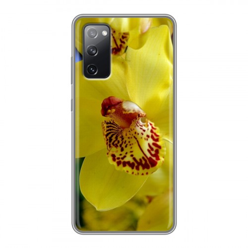 Дизайнерский силиконовый чехол для Samsung Galaxy S20 FE Орхидеи