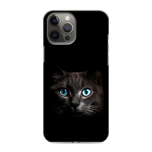 Дизайнерский силиконовый чехол для Iphone 12 Pro Max Кот в темноте
