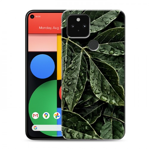 Дизайнерский пластиковый чехол для Google Pixel 5 Нуарные листья