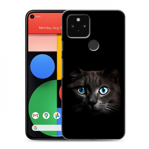 Дизайнерский пластиковый чехол для Google Pixel 5 Кот в темноте