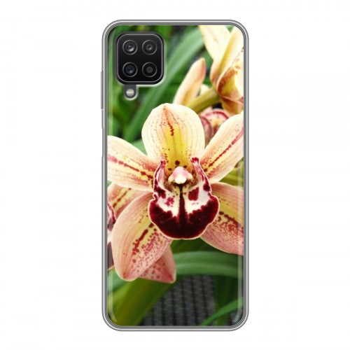 Дизайнерский силиконовый чехол для Samsung Galaxy A12 Орхидеи