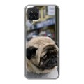 Дизайнерский пластиковый чехол для Samsung Galaxy A12 Собаки
