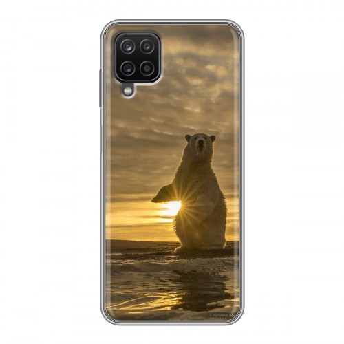 Дизайнерский пластиковый чехол для Samsung Galaxy A12 Медведи