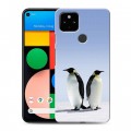 Дизайнерский силиконовый с усиленными углами чехол для Google Pixel 4a 5G Пингвины