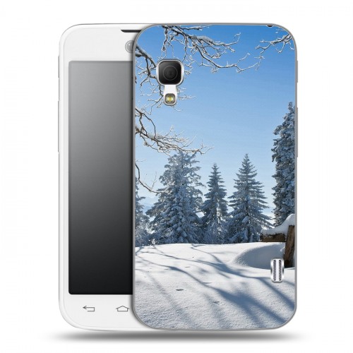 Дизайнерский пластиковый чехол для LG Optimus L5 2 II Зима