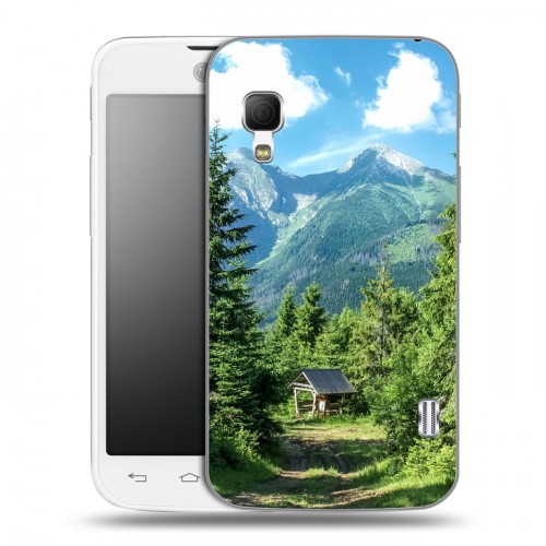 Дизайнерский пластиковый чехол для LG Optimus L5 2 II лес
