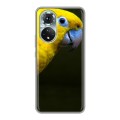 Дизайнерский силиконовый чехол для Huawei Honor 50 Попугаи