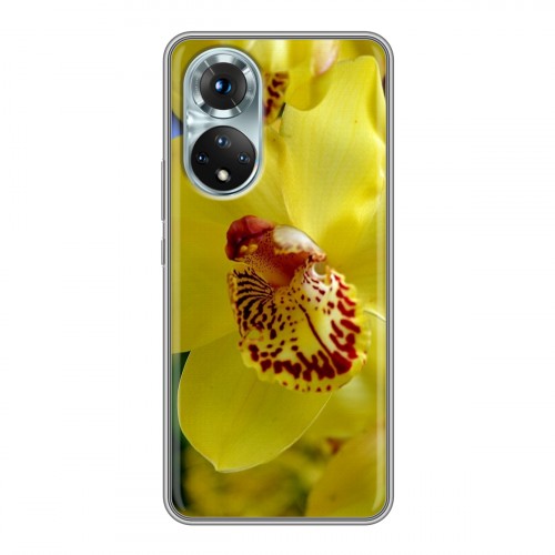 Дизайнерский пластиковый чехол для Huawei Honor 50 Орхидеи