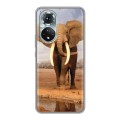 Дизайнерский силиконовый чехол для Huawei Honor 50 Слоны