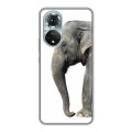 Дизайнерский силиконовый чехол для Huawei Honor 50 Слоны