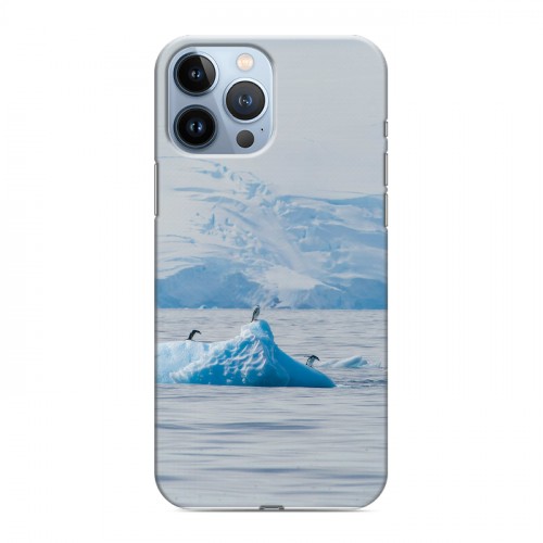 Дизайнерский пластиковый чехол для Iphone 13 Pro Max айсберг