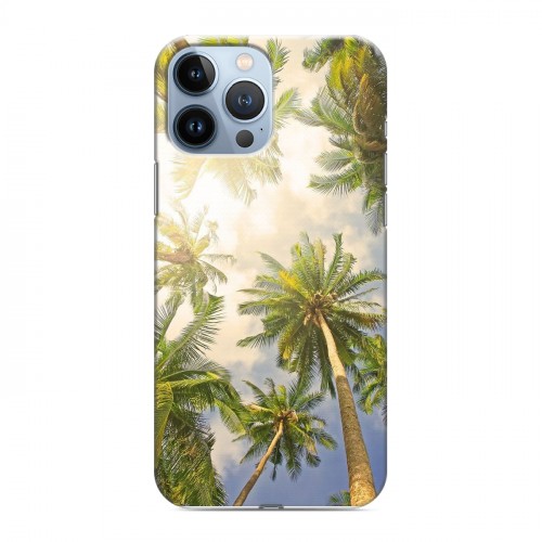 Дизайнерский пластиковый чехол для Iphone 13 Pro Max Hawaii
