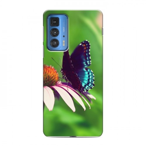 Дизайнерский силиконовый чехол для Motorola Edge 20 Pro Бабочки