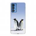 Дизайнерский силиконовый чехол для Motorola Edge 20 Pro Пингвины
