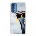 Дизайнерский силиконовый чехол для Motorola Edge 20 Pro Пингвины