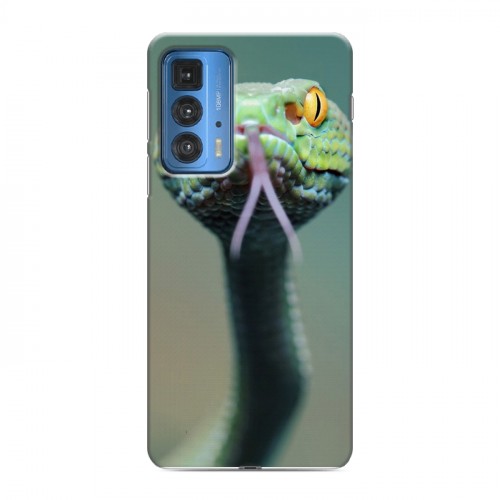 Дизайнерский силиконовый чехол для Motorola Edge 20 Pro Змеи
