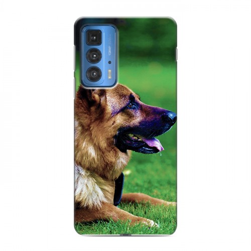 Дизайнерский силиконовый чехол для Motorola Edge 20 Pro Собаки