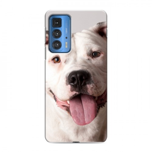 Дизайнерский силиконовый чехол для Motorola Edge 20 Pro Собаки