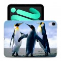Дизайнерский силиконовый с усиленными углами чехол для Ipad Mini (2021) Пингвины