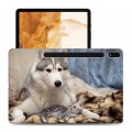 Дизайнерский силиконовый чехол для Samsung Galaxy Tab S8 Plus Собаки