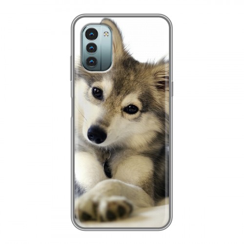 Дизайнерский пластиковый чехол для Nokia G11 Собаки
