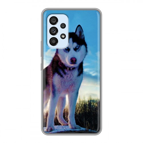 Дизайнерский силиконовый чехол для Samsung Galaxy A33 5G Собаки