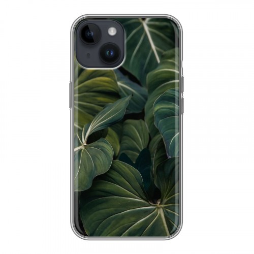 Дизайнерский пластиковый чехол для Iphone 14 Нуарные листья