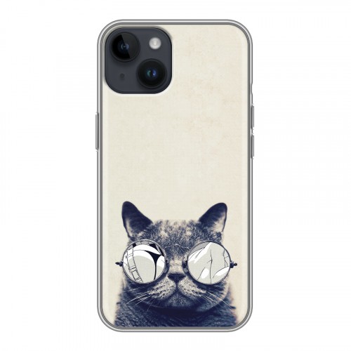 Дизайнерский пластиковый чехол для Iphone 14 Кошки