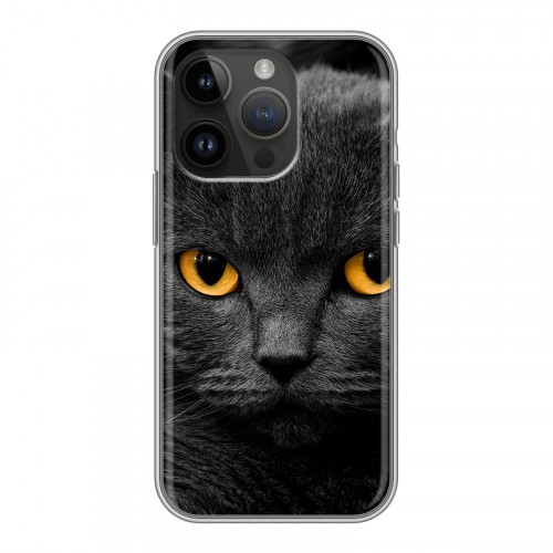 Дизайнерский силиконовый чехол для Iphone 14 Pro Коты
