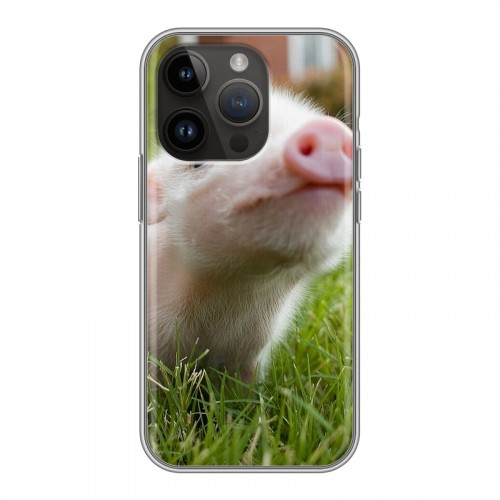 Дизайнерский силиконовый чехол для Iphone 14 Pro Свинки