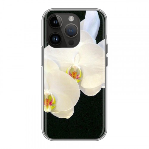 Дизайнерский силиконовый чехол для Iphone 14 Pro Орхидеи