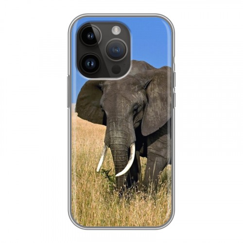 Дизайнерский силиконовый чехол для Iphone 14 Pro Слоны