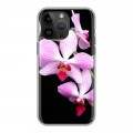 Дизайнерский пластиковый чехол для Iphone 14 Pro Max Орхидеи