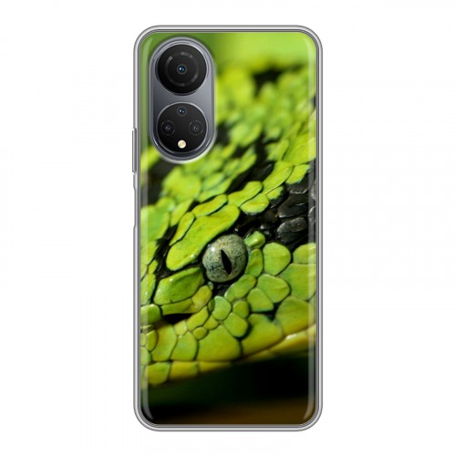 Дизайнерский пластиковый чехол для Huawei Honor X7 Змеи