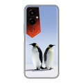Дизайнерский силиконовый чехол для Tecno Pova 4 Pro Пингвины