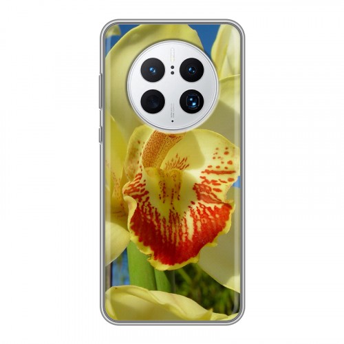 Дизайнерский пластиковый чехол для Huawei Mate 50 Pro Орхидеи