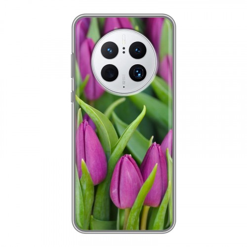 Дизайнерский пластиковый чехол для Huawei Mate 50 Pro Тюльпаны