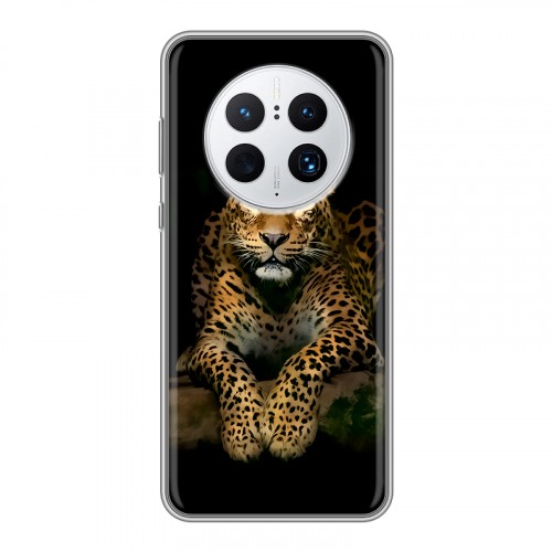 Дизайнерский силиконовый чехол для Huawei Mate 50 Pro Леопард