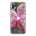 Дизайнерский пластиковый чехол для Nothing Phone (1) Орхидеи