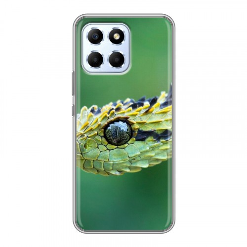 Дизайнерский пластиковый чехол для Huawei Honor X6 Змеи