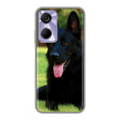 Дизайнерский силиконовый с усиленными углами чехол для Tecno Pop 6 Pro Собаки