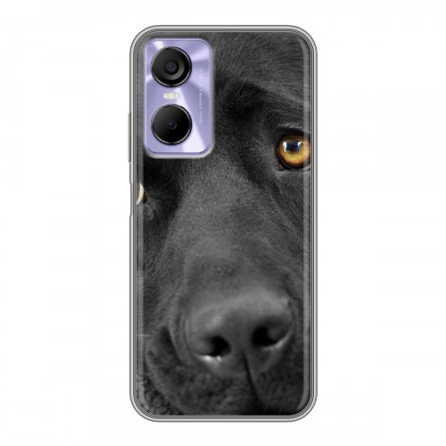 Дизайнерский силиконовый чехол для Tecno Pop 6 Pro Собаки