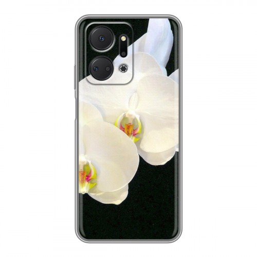 Дизайнерский пластиковый чехол для Huawei Honor X7a Орхидеи