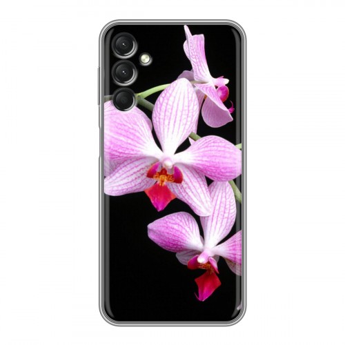 Дизайнерский силиконовый с усиленными углами чехол для Samsung Galaxy A24 4G Орхидеи
