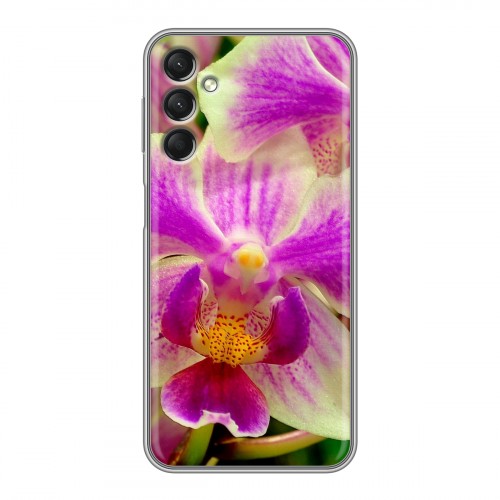 Дизайнерский пластиковый чехол для Samsung Galaxy A24 4G Орхидеи