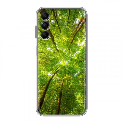 Дизайнерский пластиковый чехол для Samsung Galaxy M14 5G лес