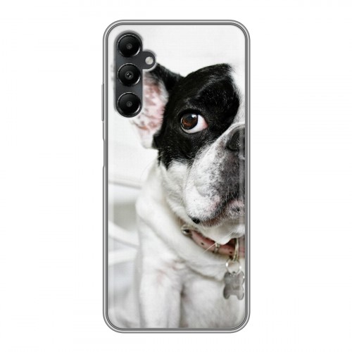 Дизайнерский силиконовый чехол для Samsung Galaxy A05s Собаки
